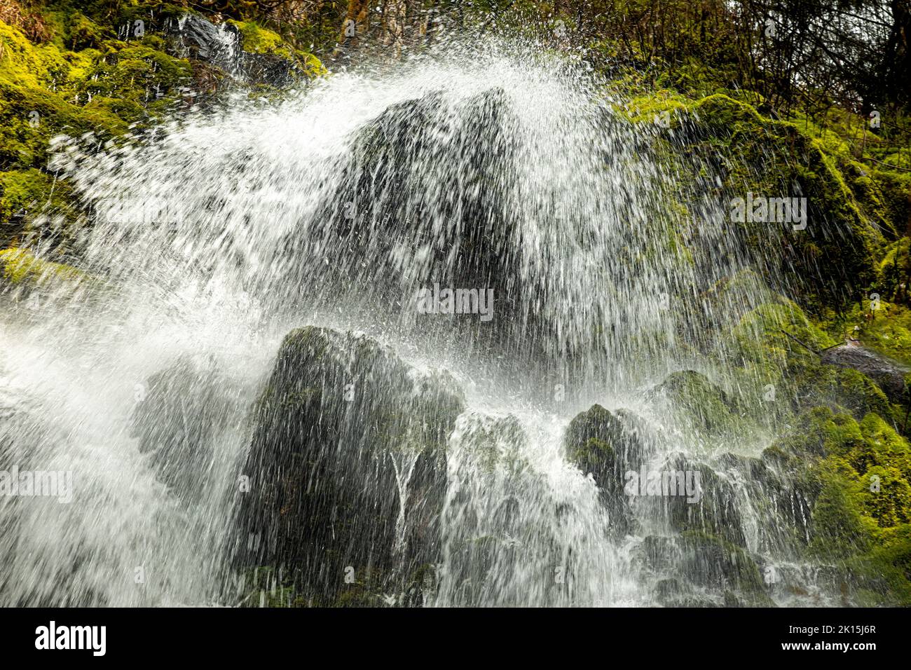 WA22038-00...WASHINGTON - Waterfall on an unnamed creek up valley from Mineral Creek in the Hoh Rain Forest of Olympic National Park. Stock Photo