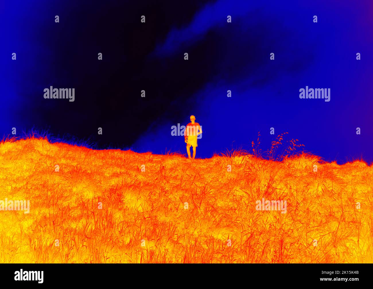 Walking in the meadow. Thermal imager used. Unrecognizable blurred persons Stock Photo