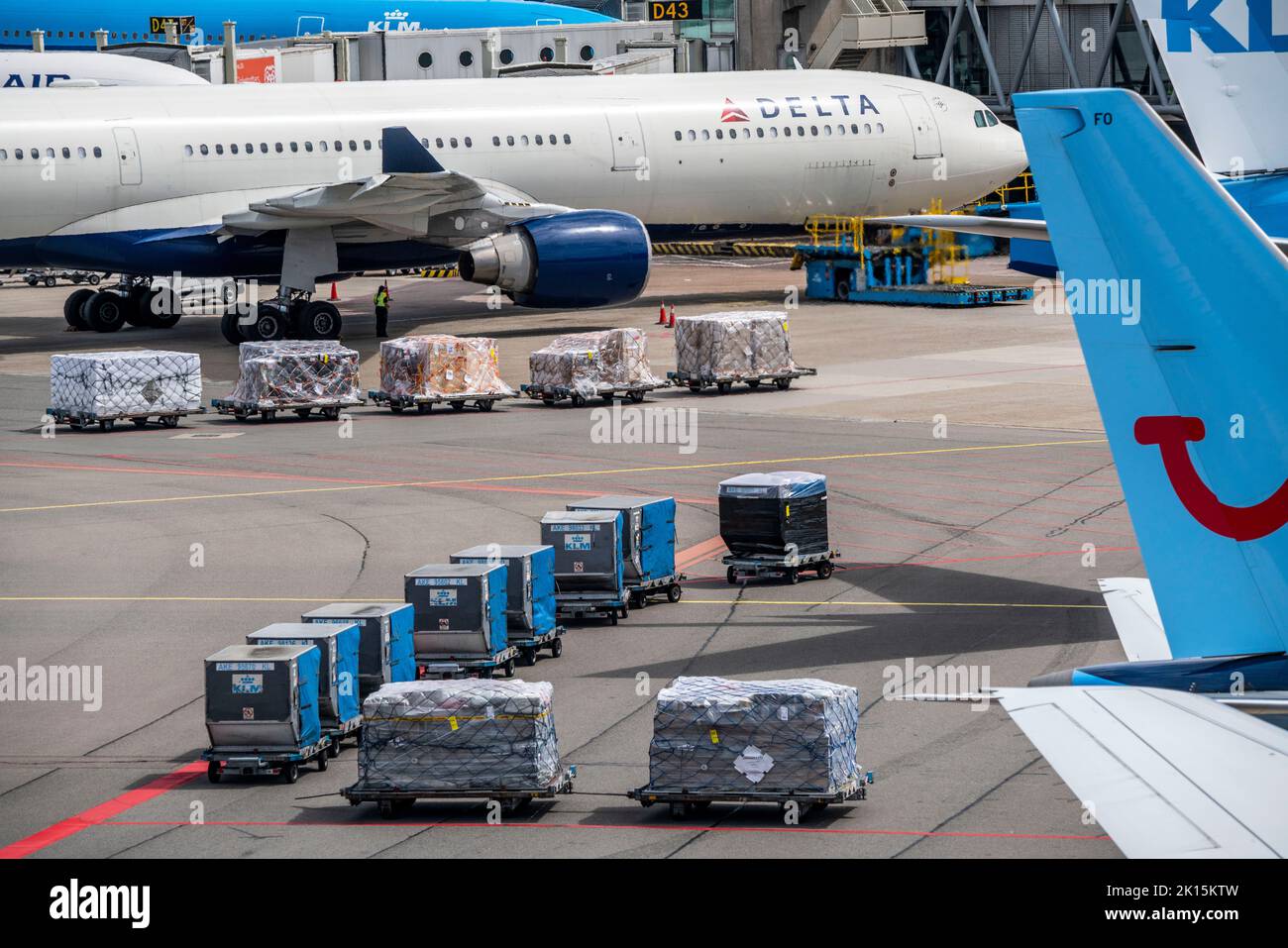 Amsterdam Schiphol Airport, aircraft at terminal, Gates D, check-in, apron, loading air cargo, baggage, Amsterdam, Netherlands Stock Photo