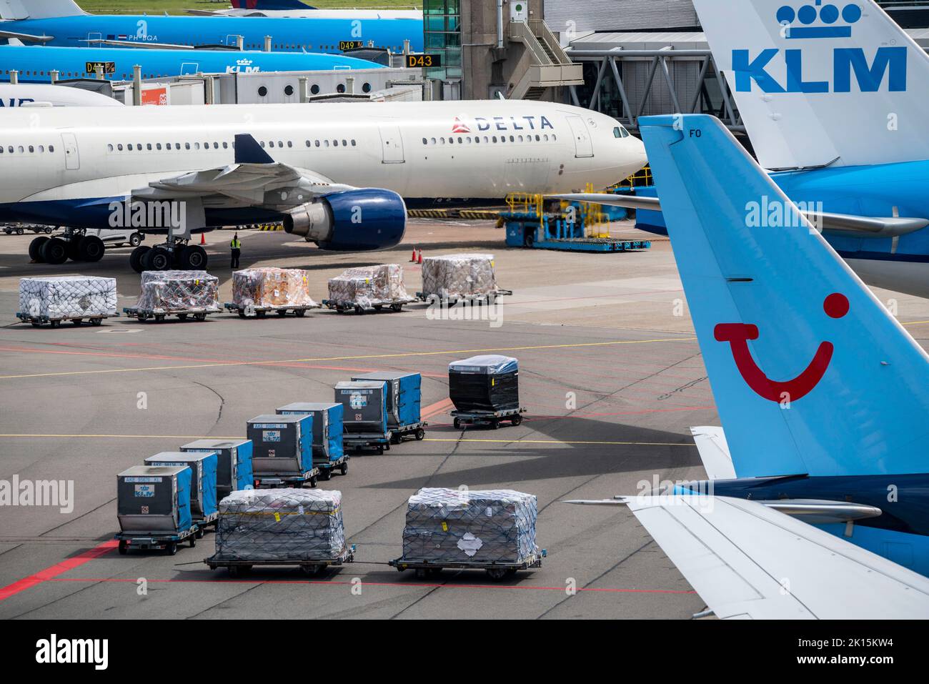 Amsterdam Schiphol Airport, aircraft at terminal, Gates D, checkin