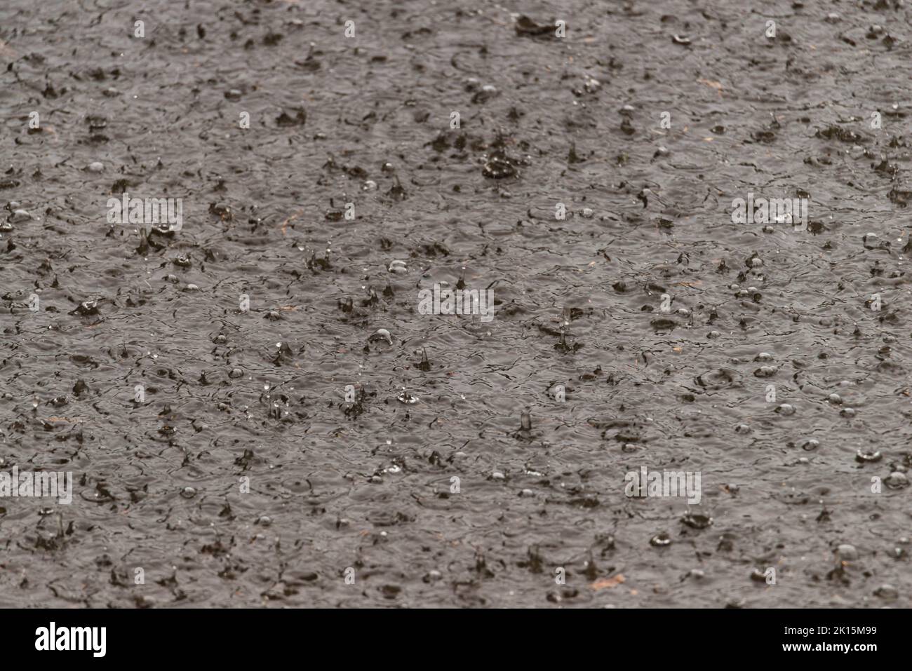 Large puddle of rain water hi-res stock photography and images - Alamy