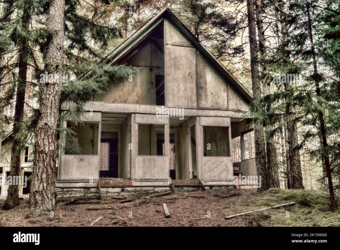 Abandoned wooden houses in the old pine forest Stock Photo - Alamy