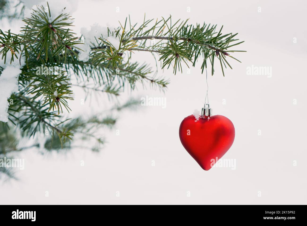 Red heart shaped Christmas bauble on the branch of a fir tree outdoors in the snow Stock Photo