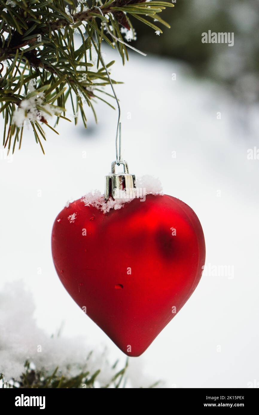Close up of a red heart shaped bauble on a fir tree branch with fresh snow Stock Photo