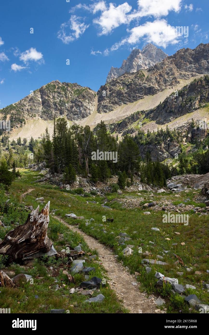 The Grand Teton Rising In The Distance Above The Avalanche Divide Trail ...