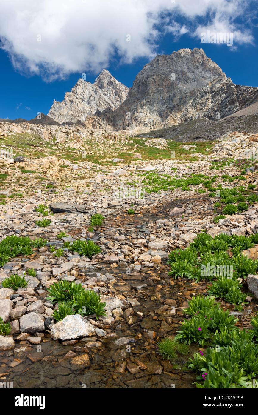 A small stream of melted snow flowing over the rocks below the Grand and Middle Tetons along the Avalanche Divide Trail. Grand Teton National Park, Wy Stock Photo