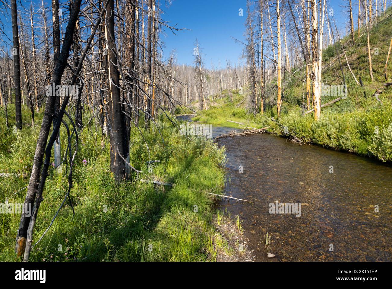 Rockefeller memorial parkway hires stock photography and images Alamy