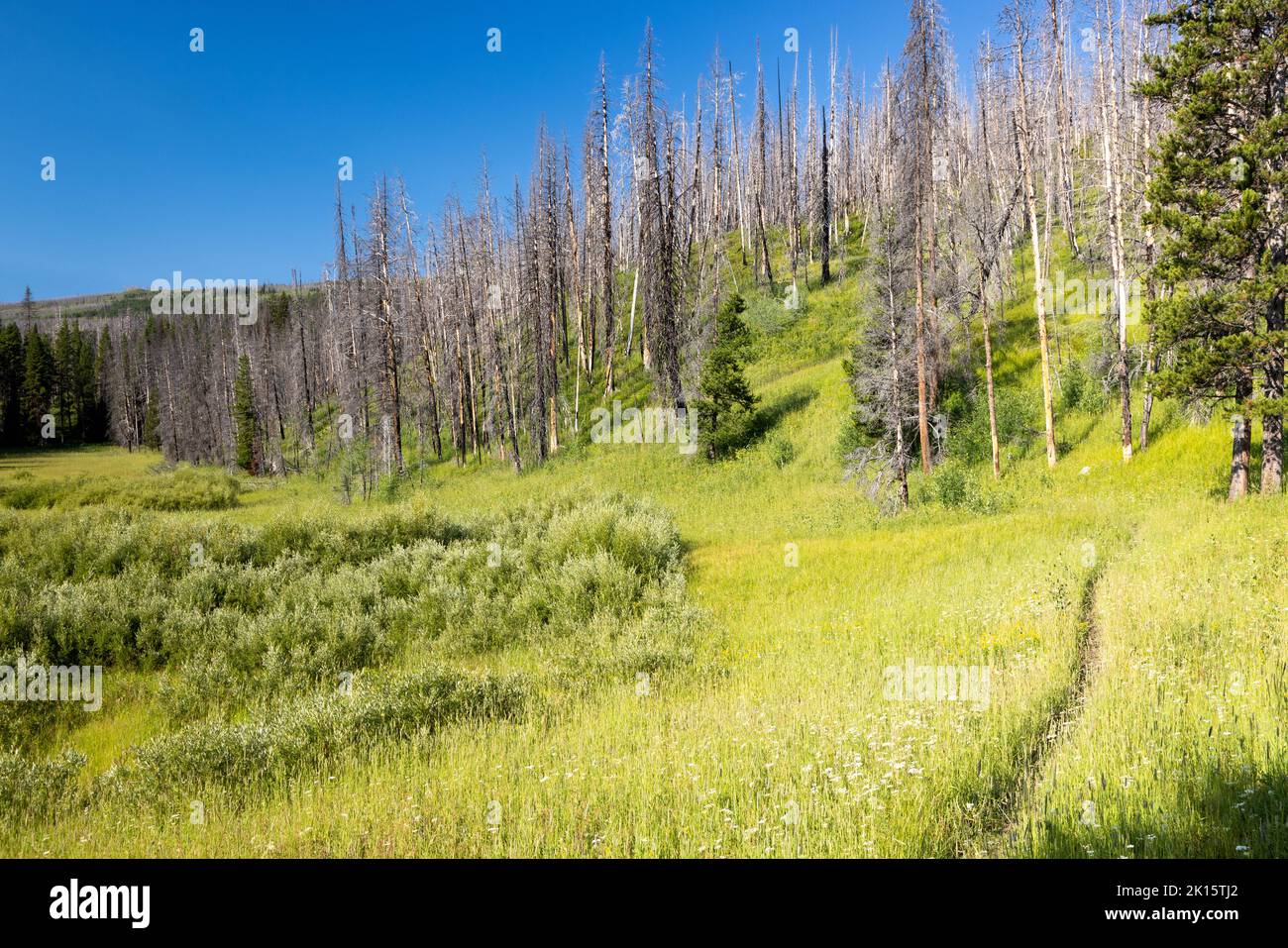 Rockefeller memorial parkway hires stock photography and images Alamy