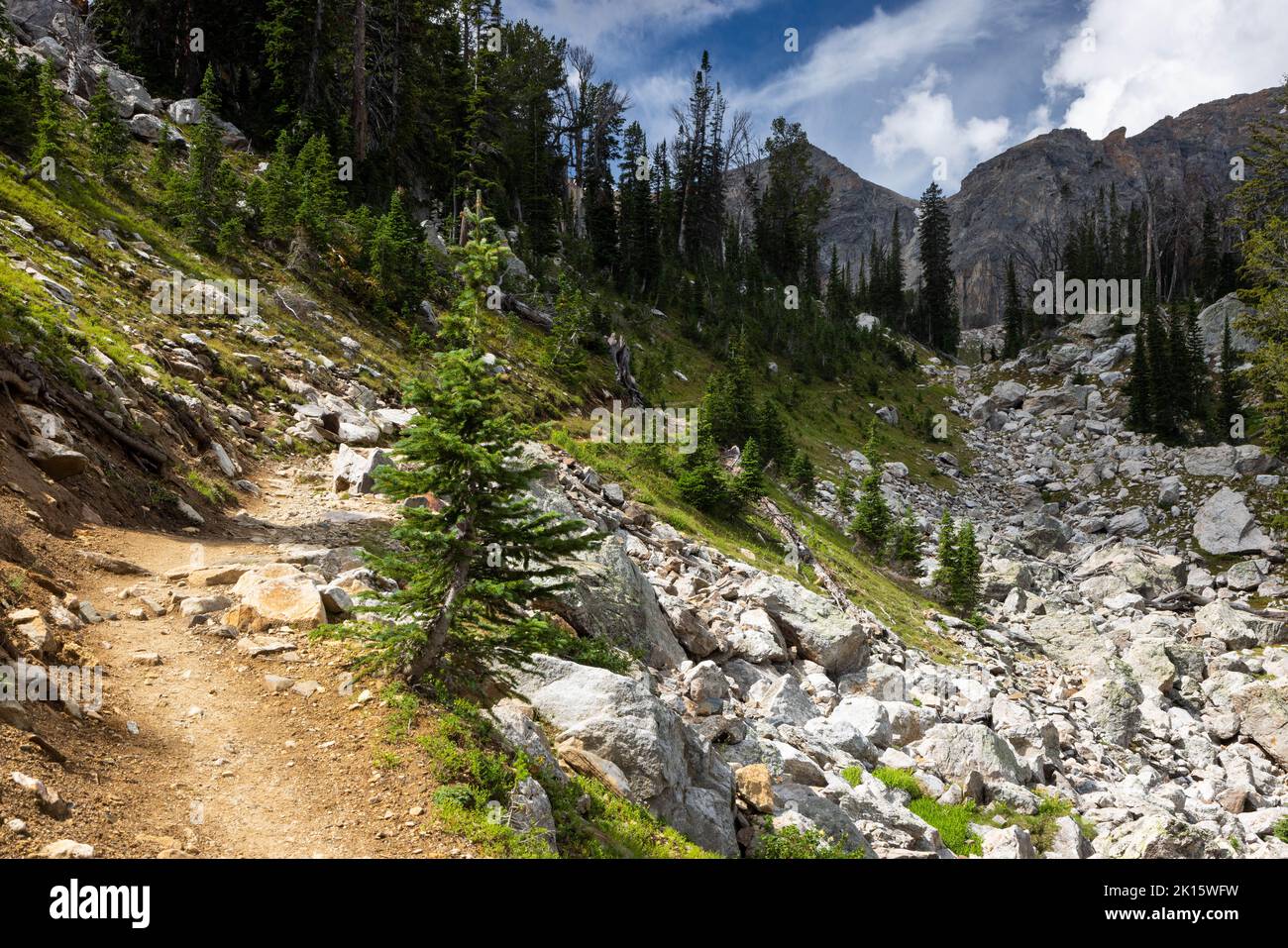 The Paintbrush Canyon Trail ascending through rocky hills and slopes as