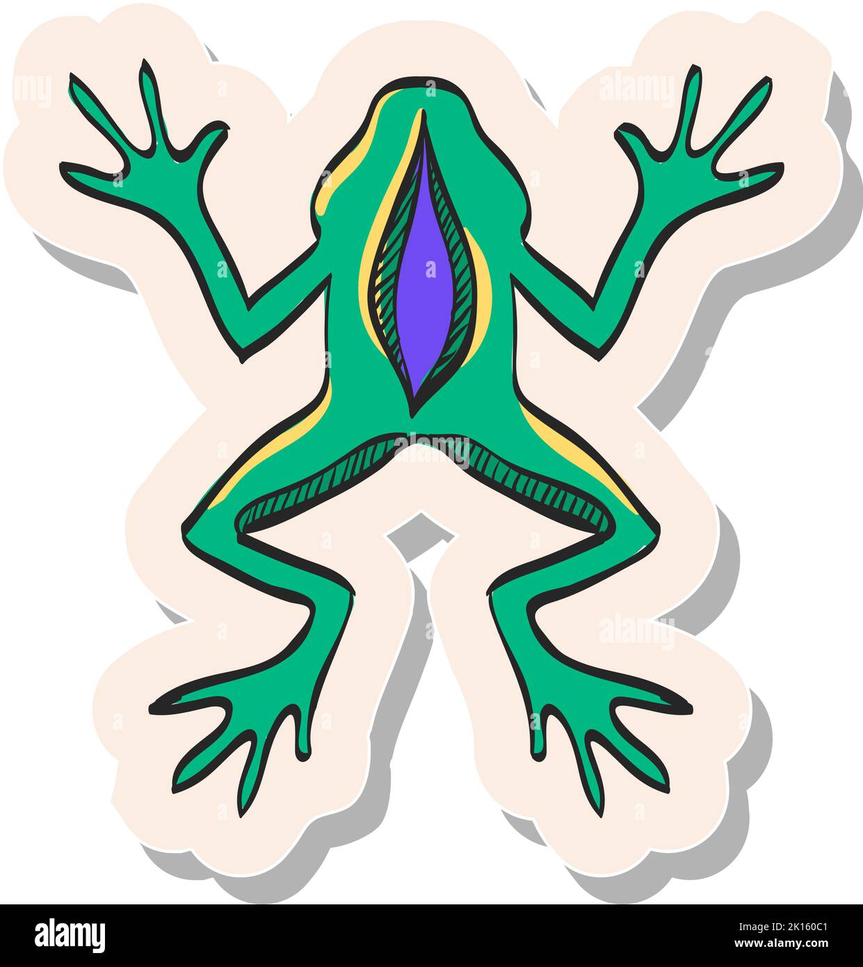 Frog lungs Stock Vector Images - Alamy