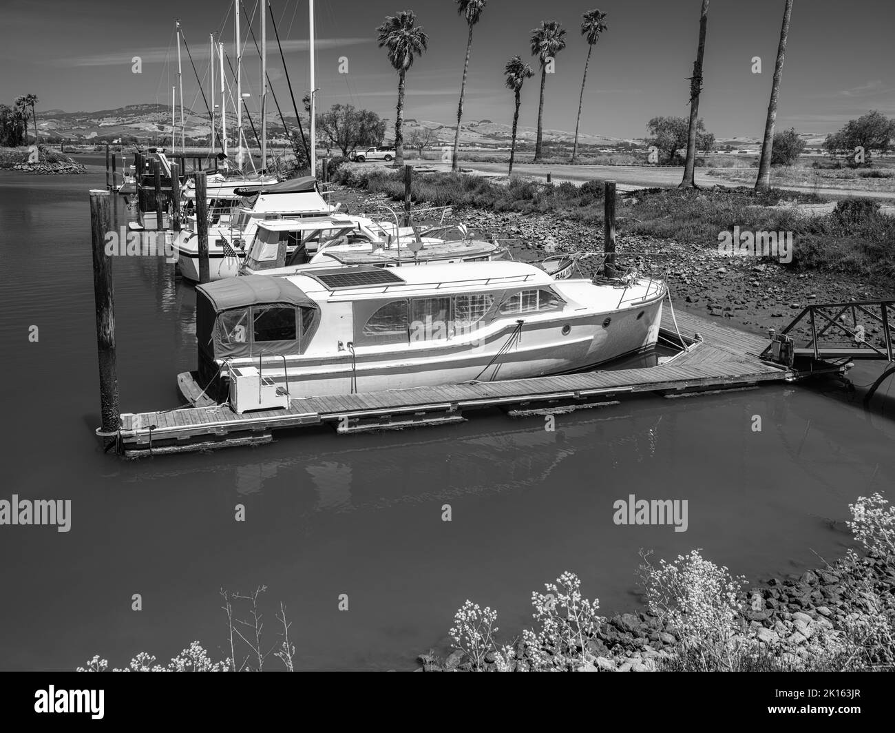 Boats in the harbour, Napa Valley Marina surrounded by palm trees & rolling hills background. Stock Photo