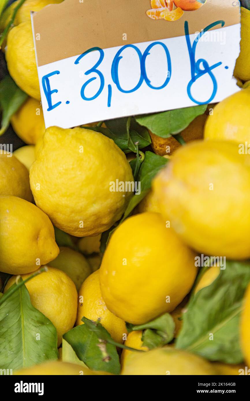 Amalfi Coast lemons - Italy - Italian yellow lemon  - Citrus limon - European lemmons - whole lemmon Stock Photo