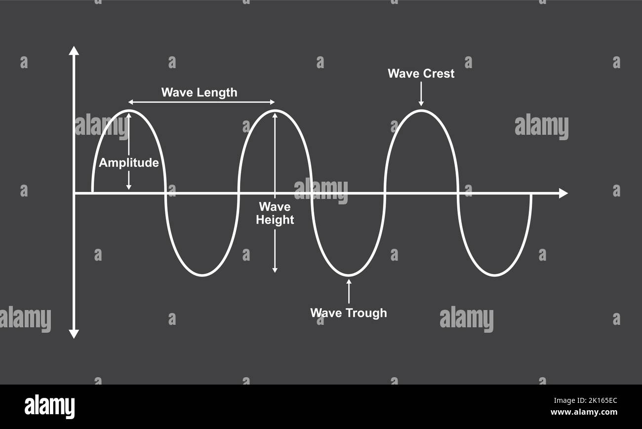Wave Basic Properties. The Parts Of Wave. Vector Illustration Stock