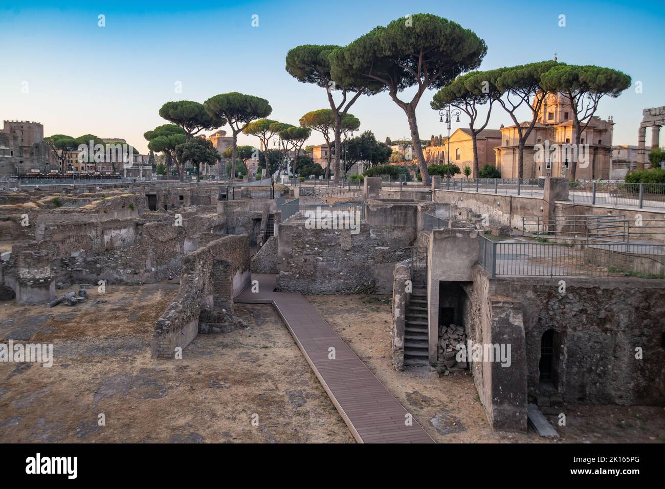 Roman archeological dig - Ancient Rome ruins Trajan's Forum Santi Luca e Martina archeology walls Italian stone pines Pinus pinea at historical site Stock Photo