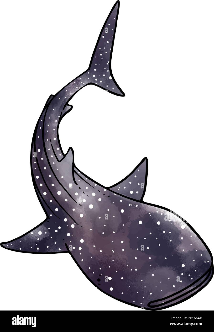 Hand drawn watercolor style whale shark vector illustration. Stock Vector