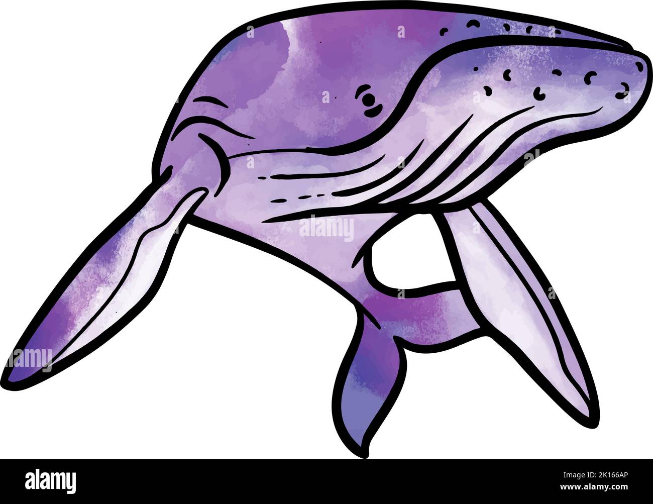 Hand drawn watercolor style whale vector illustration Stock Vector ...