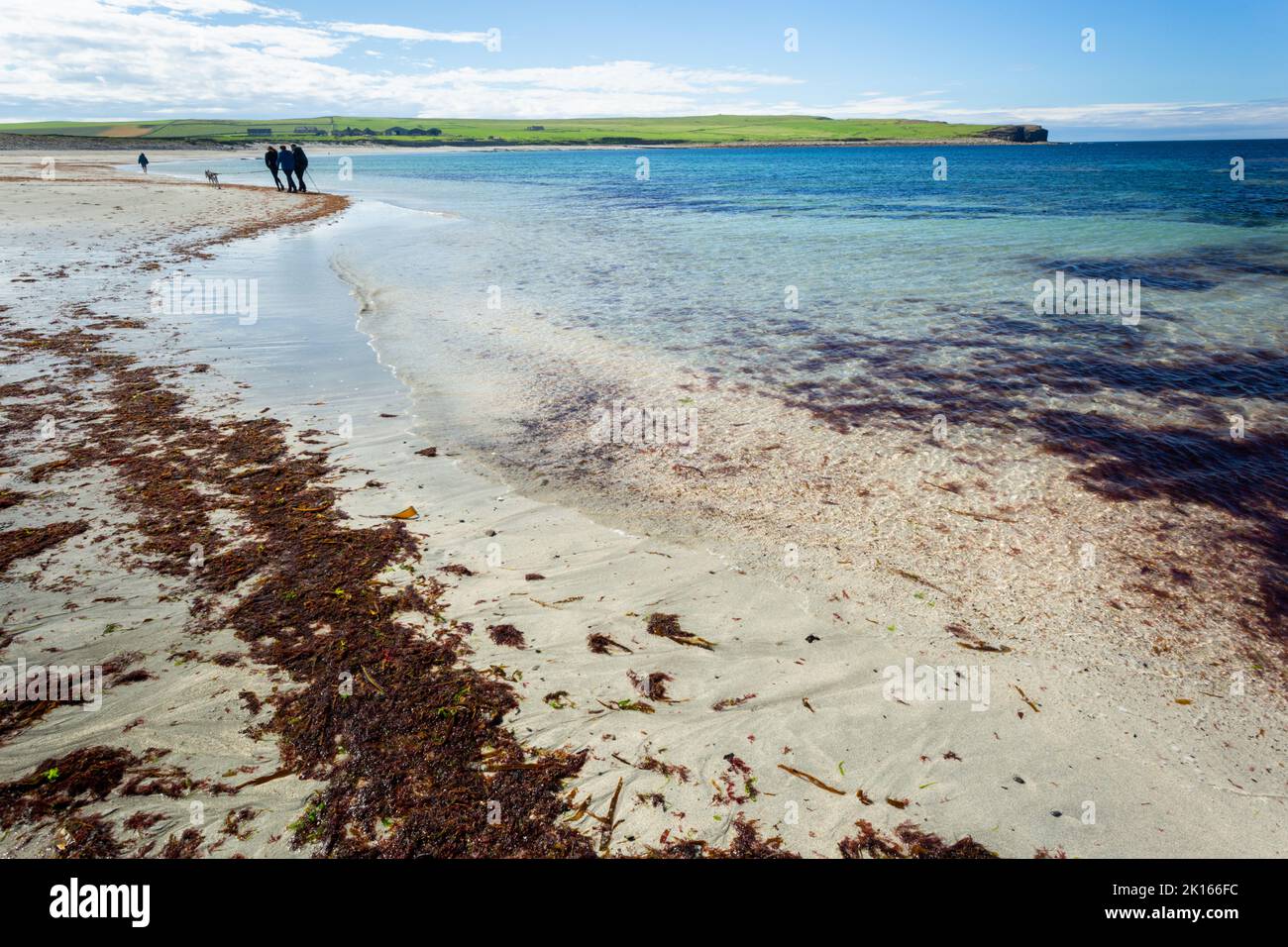 Wide beach on a summers day, Orkney, UK 2022 Stock Photo