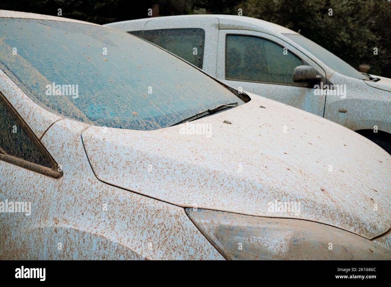 Detail of white cars very dirty from rains of mud, unwashed and