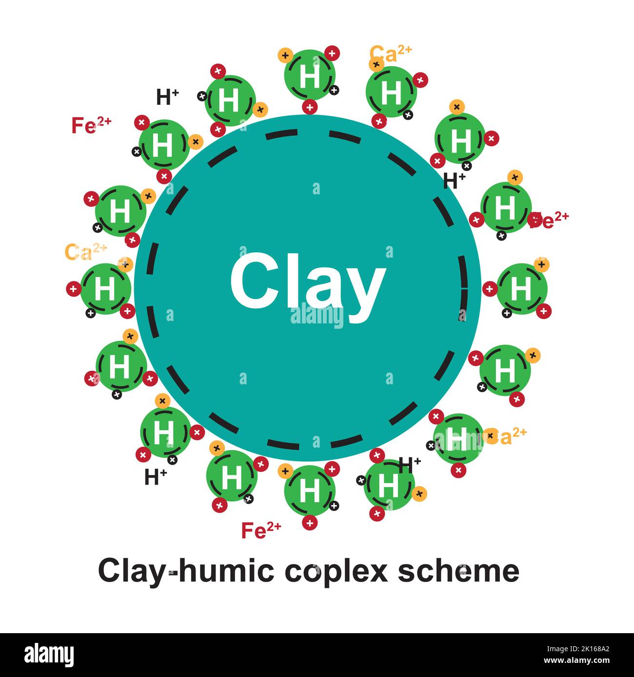 Clay-Humic Cpmlex Scheme. Vector illustration Stock Vector