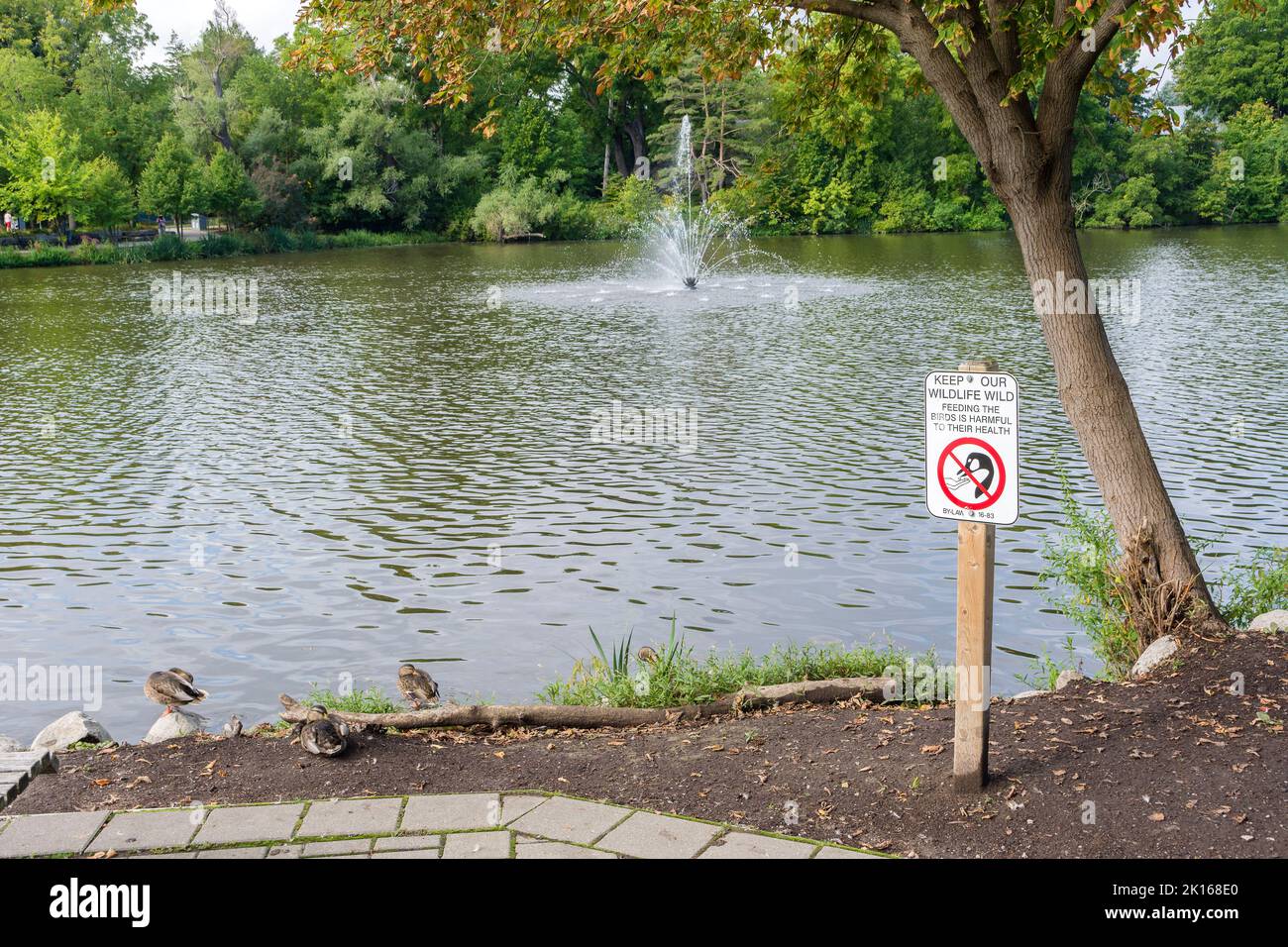 'Do Not Feed Birds' sign in Mill pond park, Richmond Hill, Ontario, Canada Stock Photo