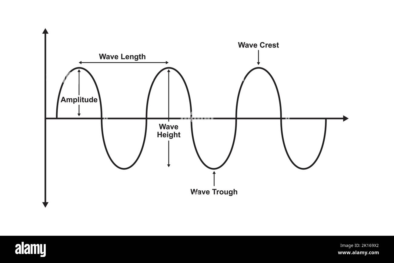 Wave Basic Properties. The Parts Of Wave. Vector Illustration Stock