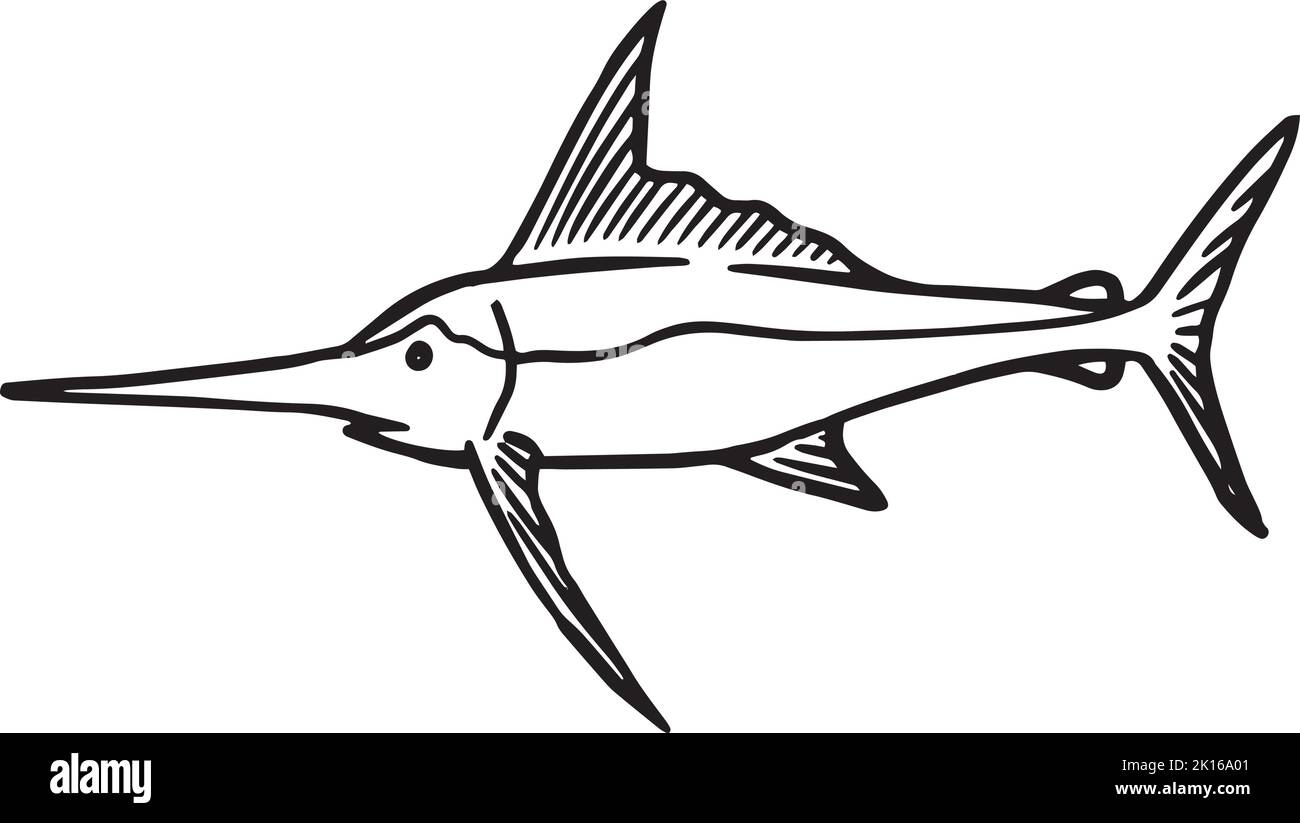 Sailfish icon. Hand drawn vector illustration. Sea animal fish predator