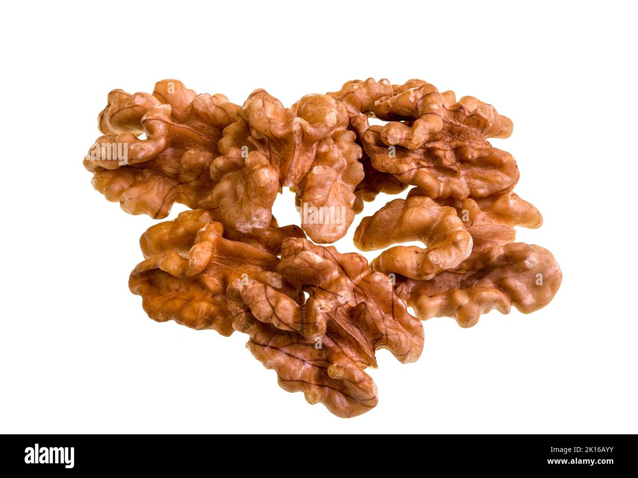 Walnut is the edible seed of the walnut tree, Juglans regia. Stock Photo