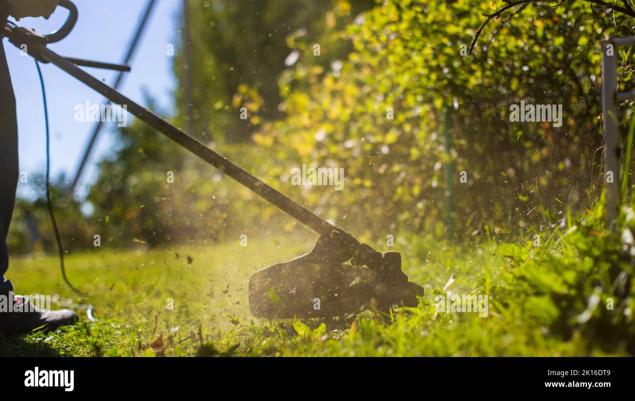 Man mowing tall grass with electric or petrol lawn trimmer in backyard. Gardening care tools and equipment. Process of lawn trimming with hand mower Stock Photo