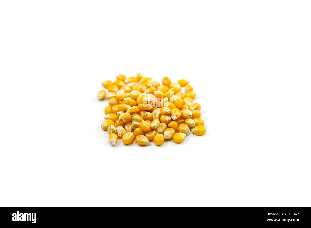 Mushroom corn kernel type used to make popcorn isolated on a white background Stock Photo Alamy