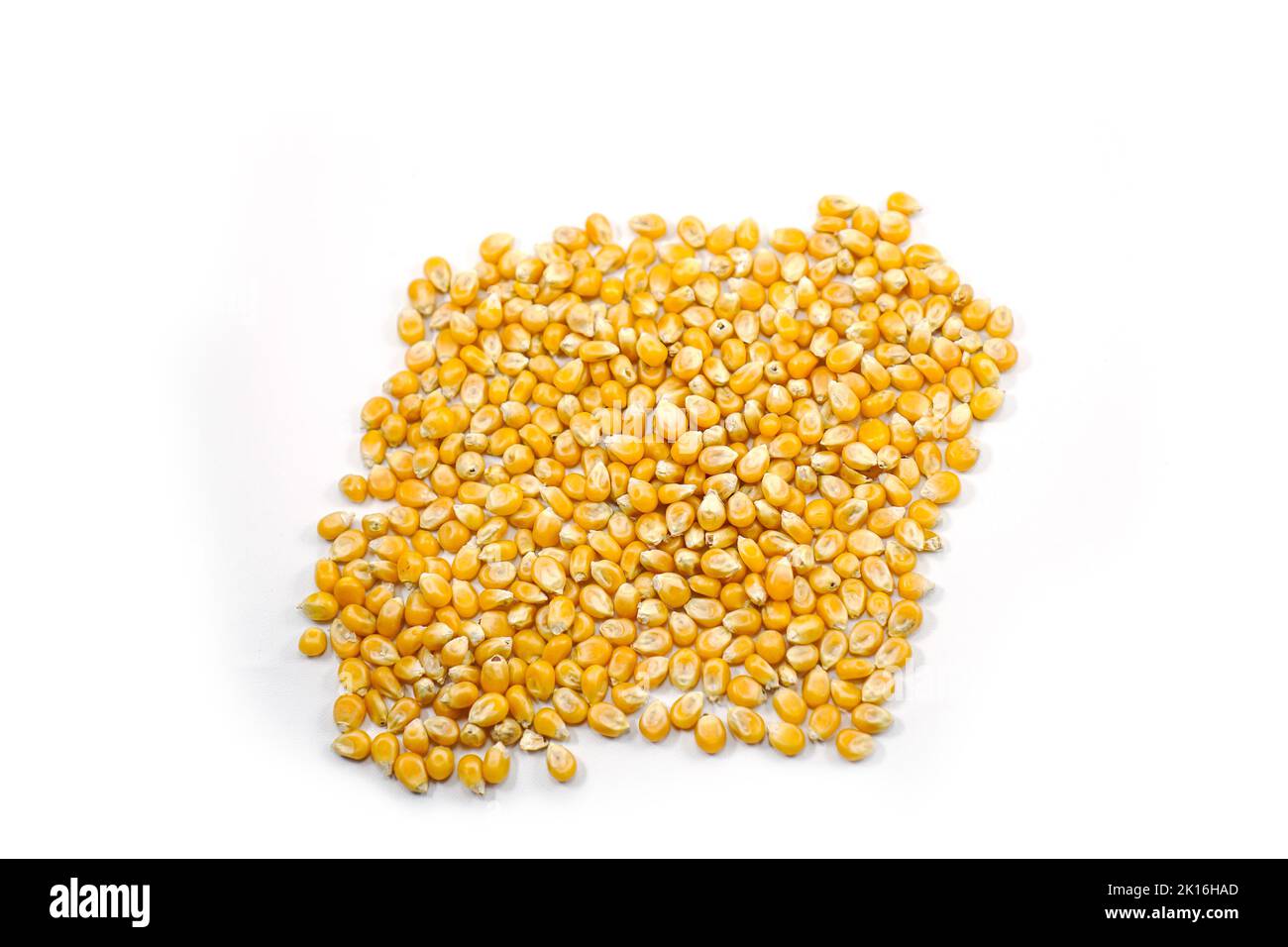 Mushroom corn kernel type used to make popcorn isolated on a white