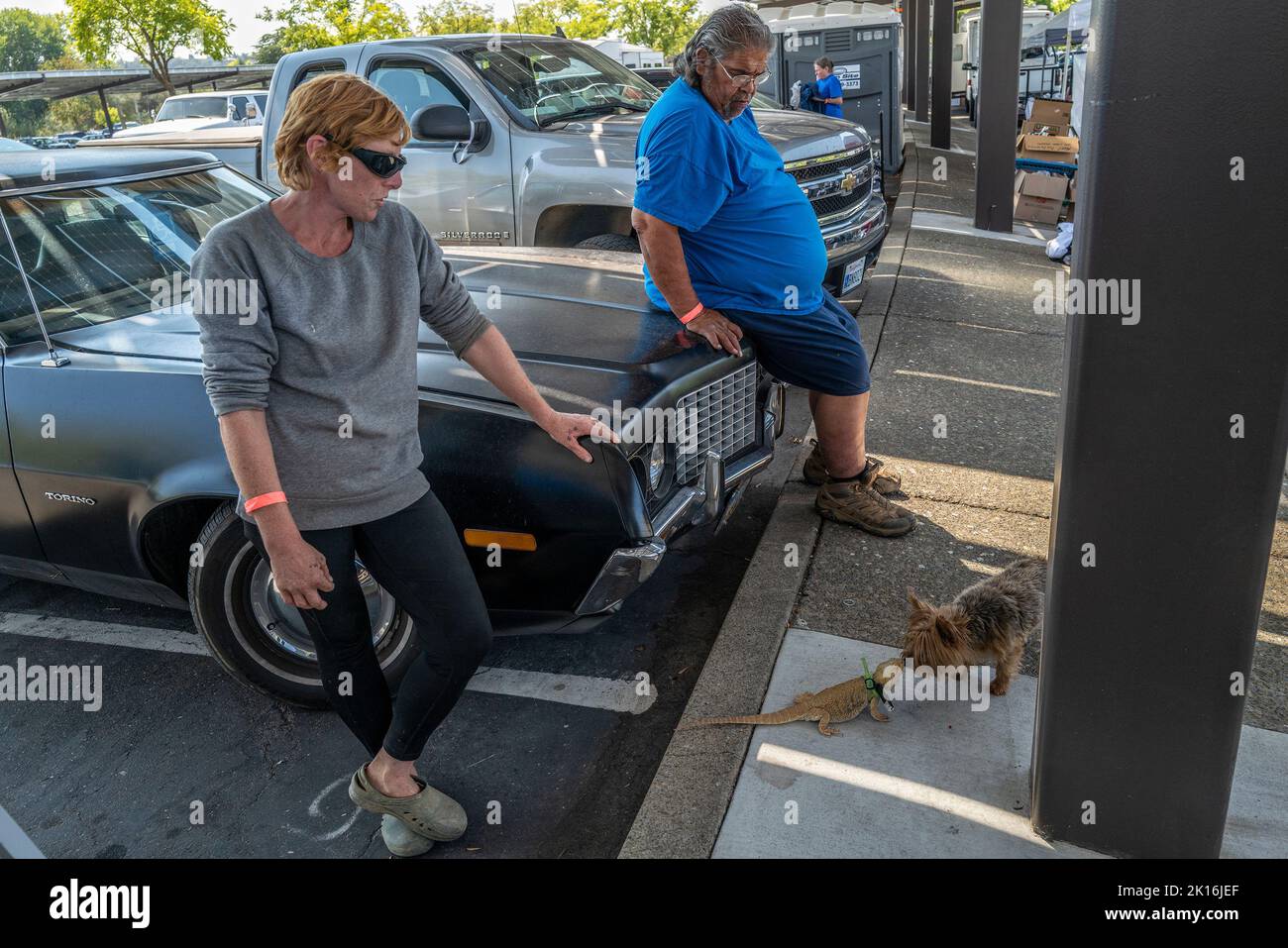 Rocklin, California, USA. 15th Sep, 2022. Katie McGee, left, and Timothy Huerta, 66, right, watch as McGee's 5-year old lizard Dora and Huerta's dog Cootie, a 14-year old Yorkie, adapt to their new surroundings in Parking Lot B of Sierra College in Rocklin on Thursday, Sept. 15, 2022. Both McGee and Huerta are Mosquito Fire evacuees from Hillcrest Mobile Home Park in Forrest Hill. McGee said she likes still having a sense of community and has been staying in the parking lot every day because sometimes people are upset and crying and we all want to be around people we know. She said she is stay Stock Photo