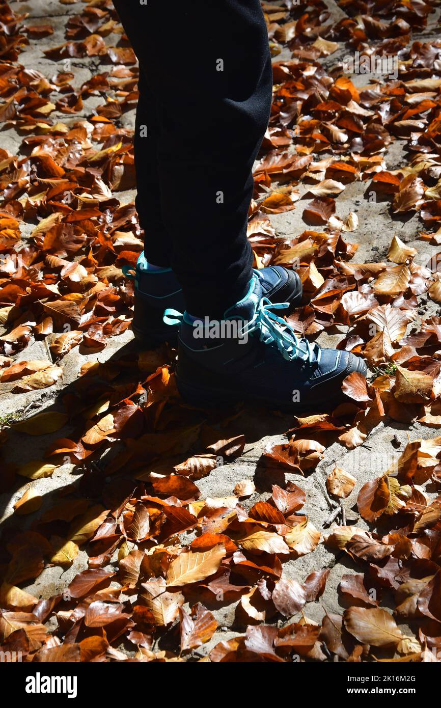 Child's boots walking over a ground covered by leaves. Stock Photo