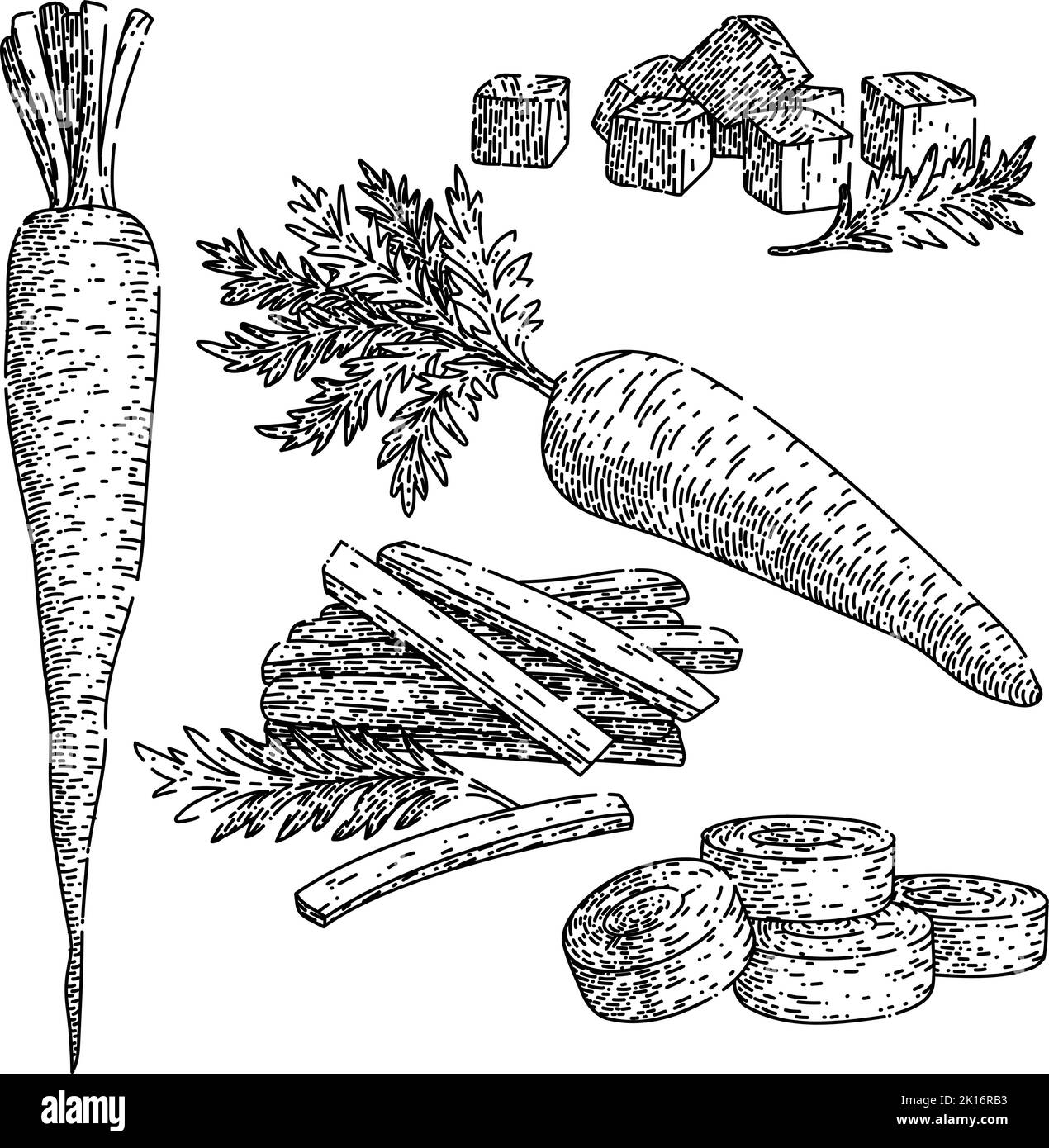 Top cut carrot Black and White Stock Photos & Images - Alamy