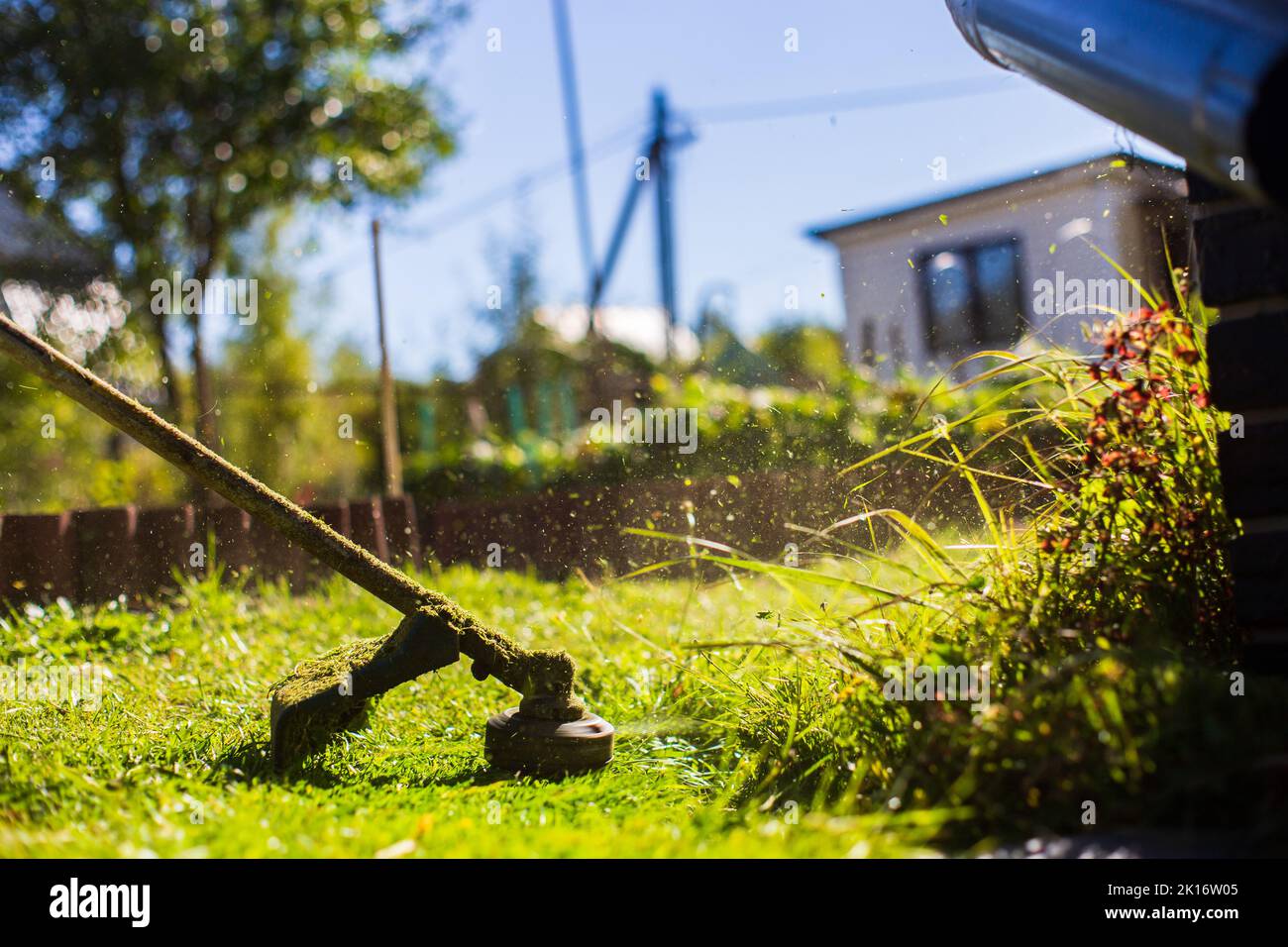 Man mowing tall grass with electric or petrol lawn trimmer in backyard. Gardening care tools and equipment. Process of lawn trimming with hand mower Stock Photo
