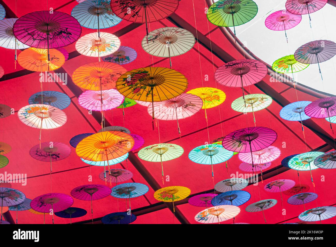 Colorful oilpaper umbrellas hung in the air Stock Photo Alamy