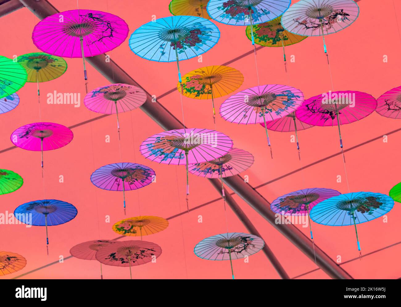 Colorful oilpaper umbrellas hung in the air Stock Photo Alamy