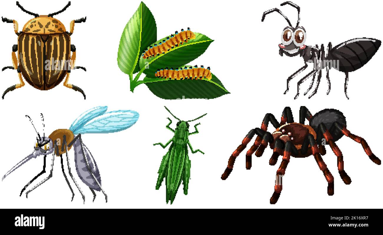 Set of different kinds of insects illustration Stock Vector Image & Art ...