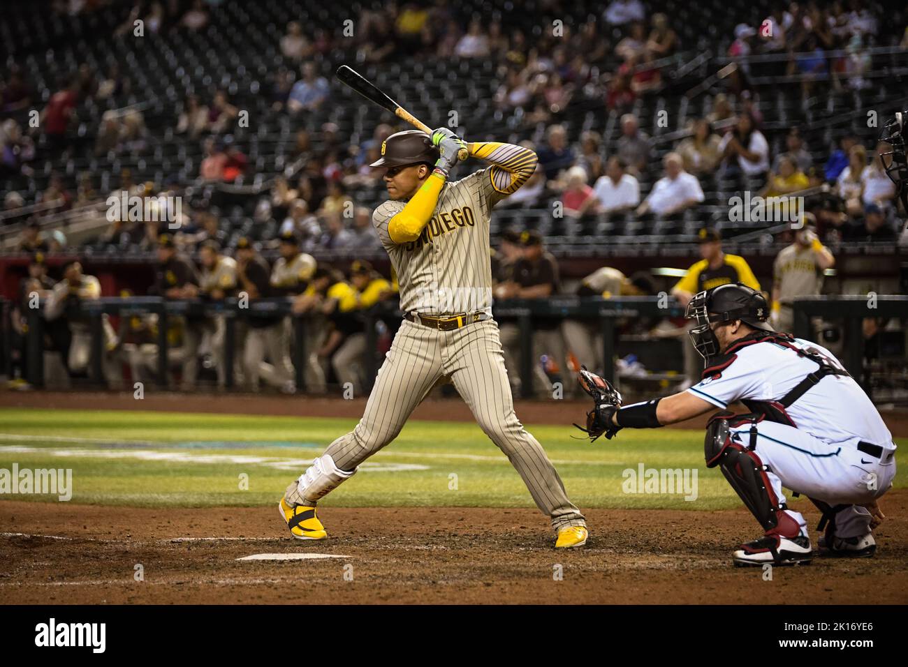 juan soto padres batting