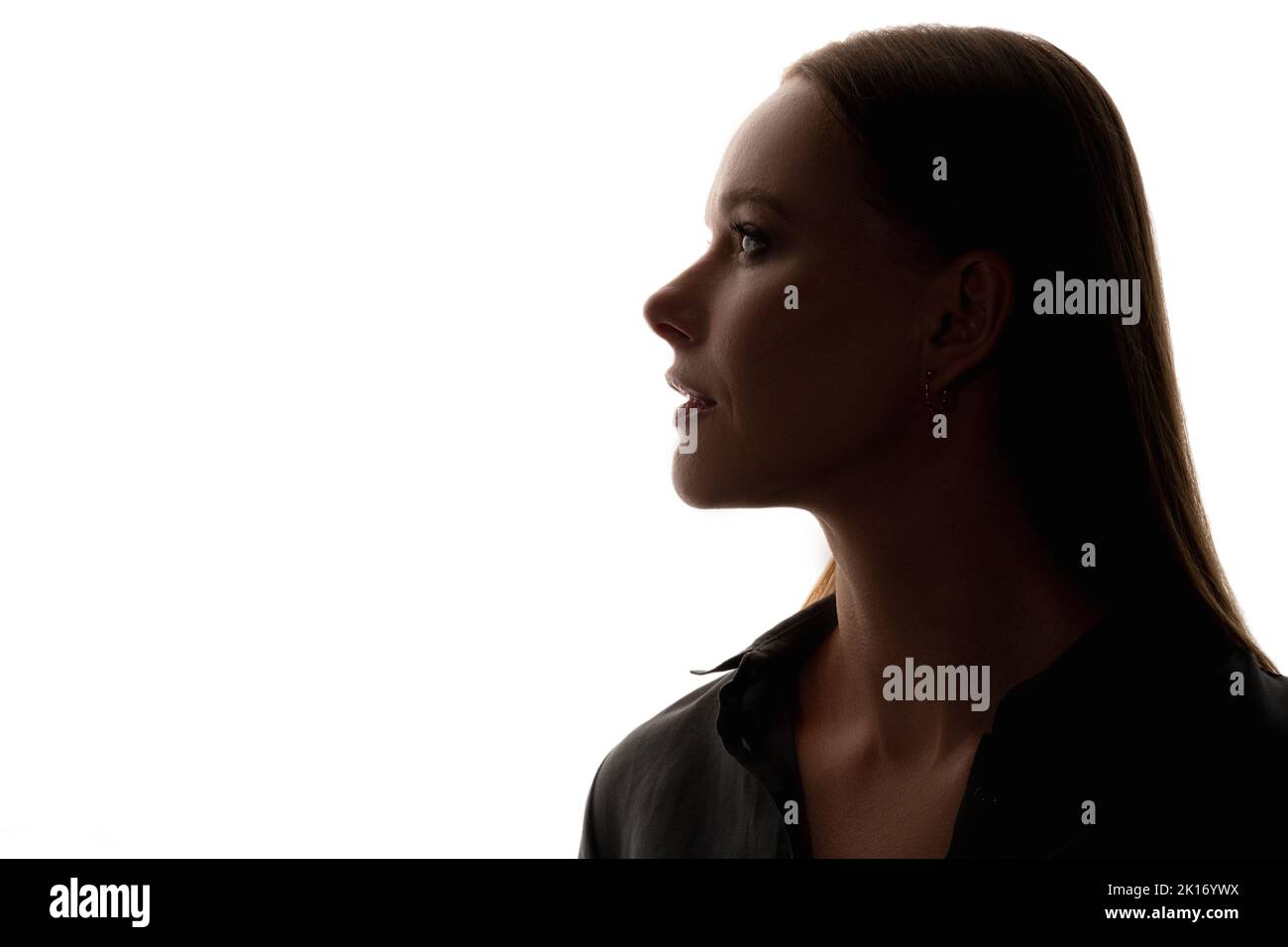 Face contouring. Aesthetic cosmetology. Plastic surgery. Skin