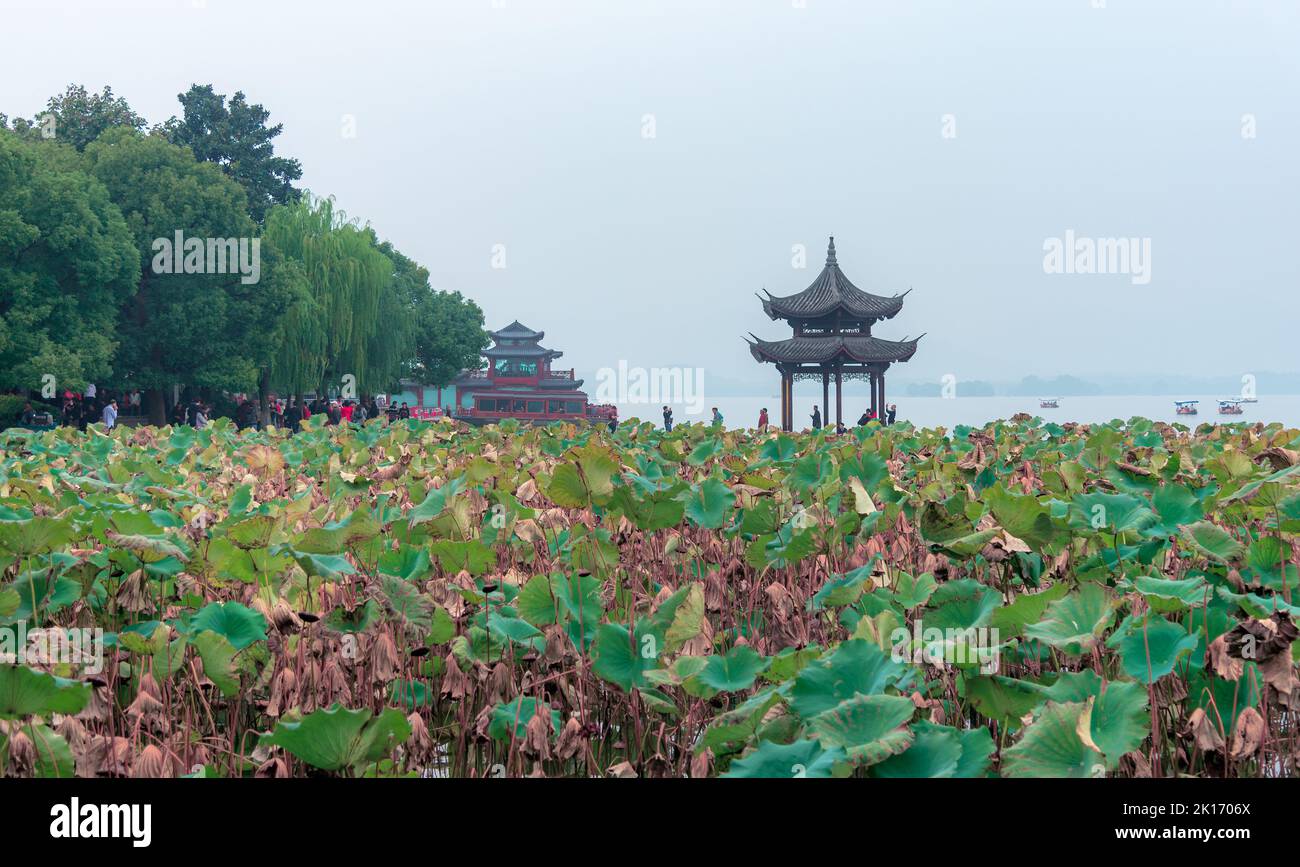 The Scenery Of The West Lake Scenic Spot In Hangzhou Zhejiang Province the-scenery-of-the-west-lake-scenic-spot-in-hangzhou-zhejiang-province