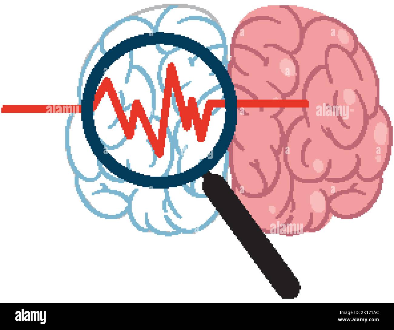 Magnify glass and human brain illustration Stock Vector Image & Art - Alamy