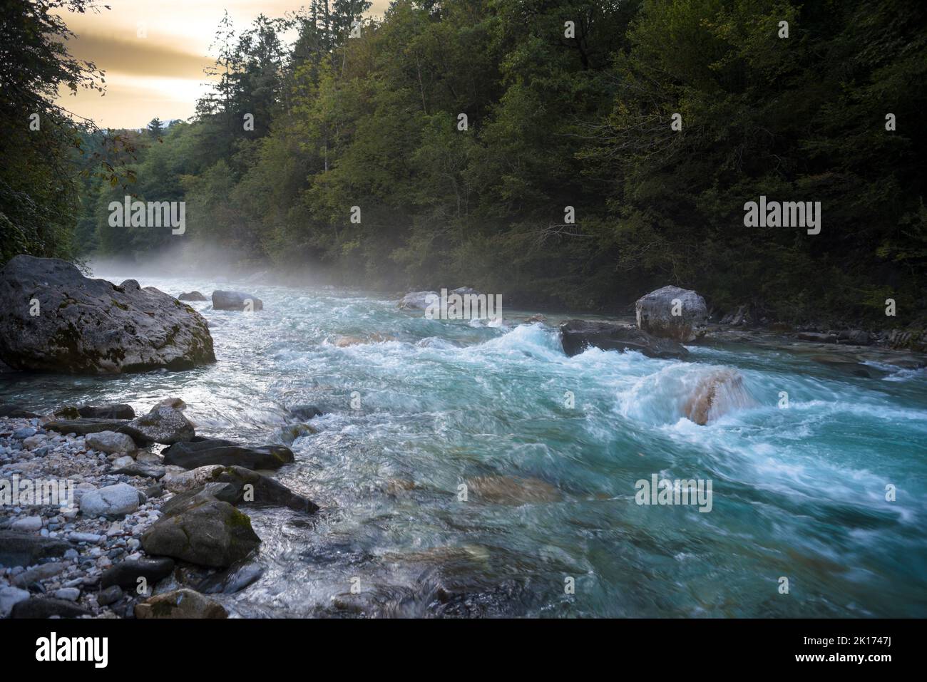 Rough river in alpine forest Stock Photo