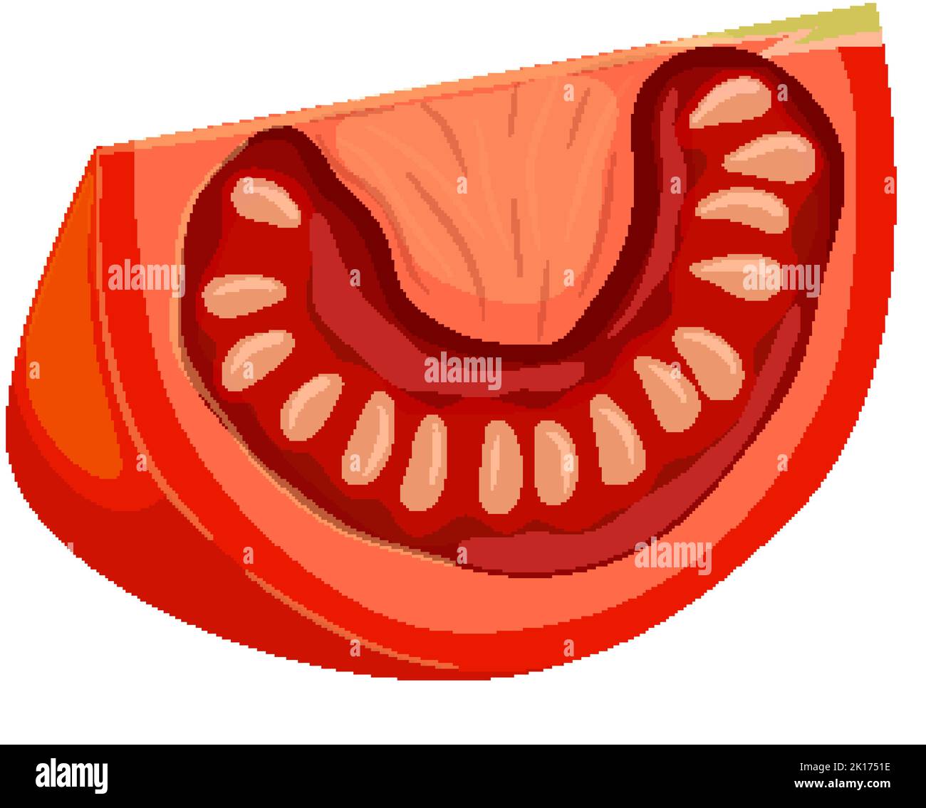 tomato slice cartoon vector illustration Stock Vector Image & Art Alamy