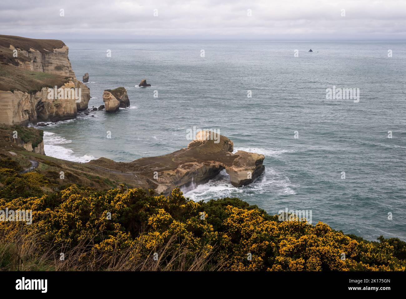 View of Tunnel Beach with yellow wild flowers in the foreground, Dunedin, New Zealand. Stock Photo