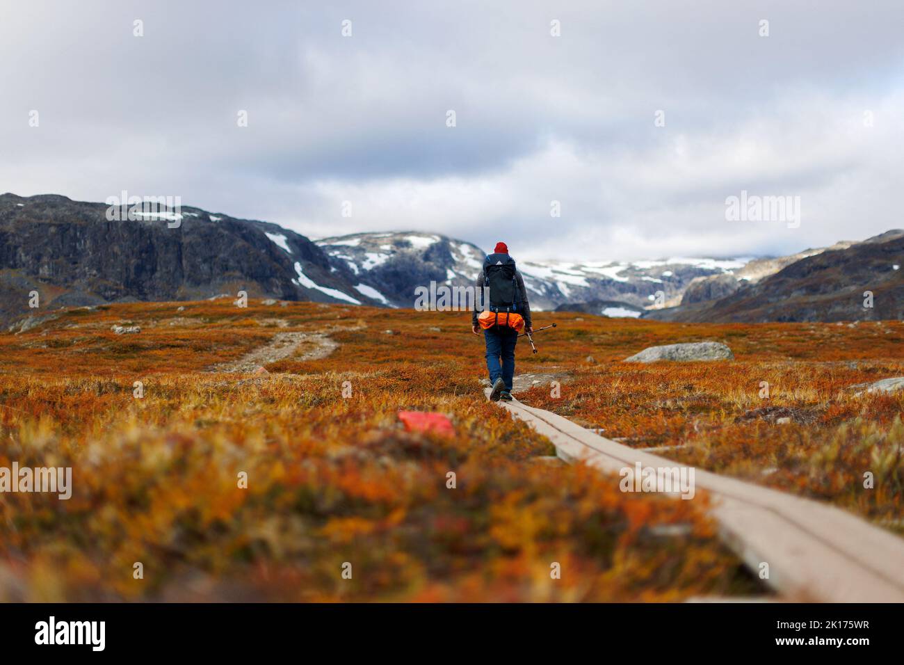 A hiker makes his way along King's Trail (Kungsleden) hiking route, during autumn in Lapland, near Abisko, Sweden September 10, 2022. REUTERS/Lisi Niesner Stock Photo