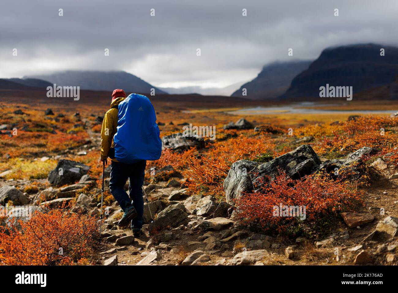 A hiker makes his way along King's Trail (Kungsleden) hiking route, during autumn in Lapland, near Abisko, Sweden September 12, 2022. REUTERS/Lisi Niesner Stock Photo