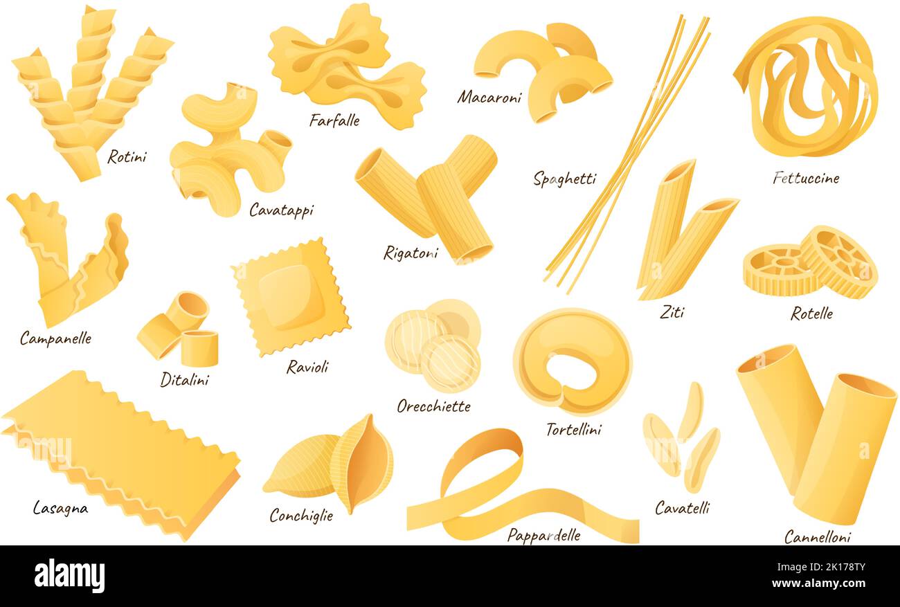 Different types macaroni and italian pasta Vector Image