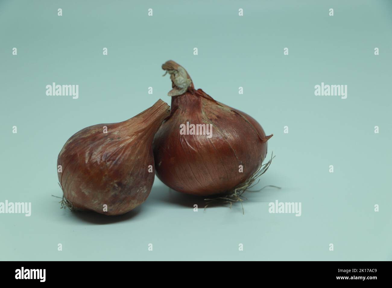 Gold red white onions hi-res stock photography and images - Alamy