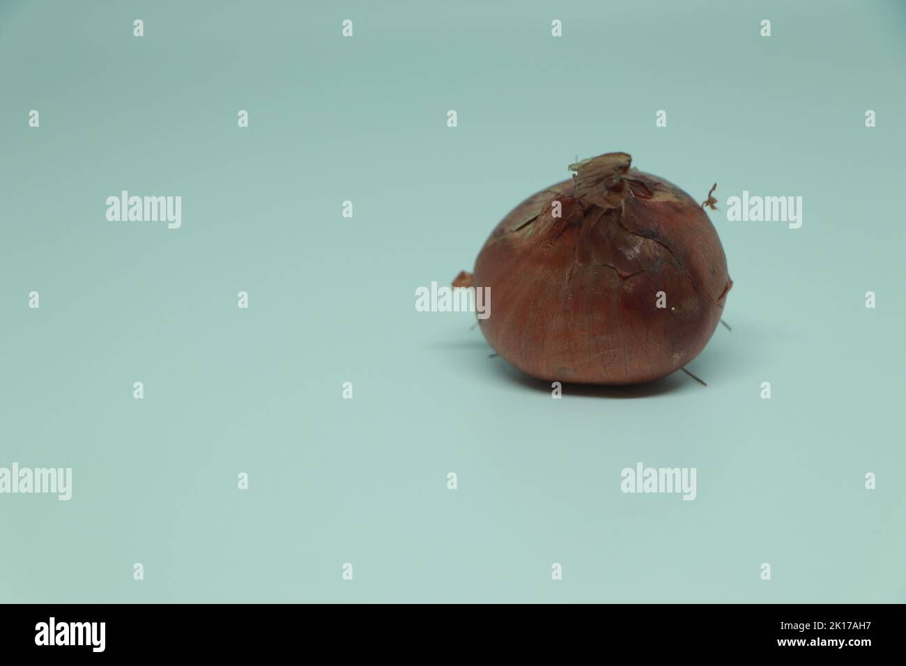 Brown onion isolated on white background Stock Photo