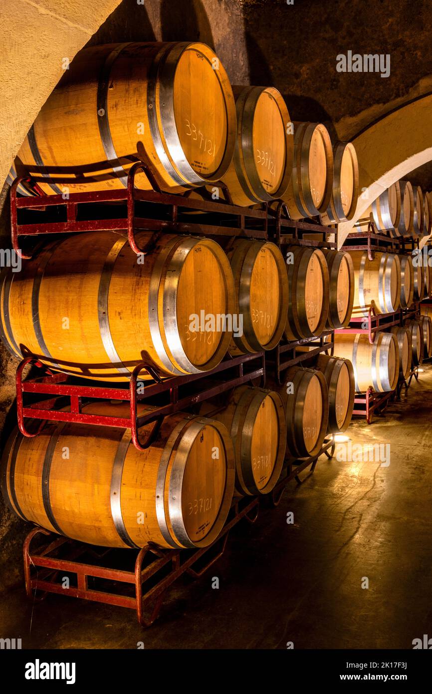 Cellar of a wine cellar with macerating wine barrels. Stock Photo